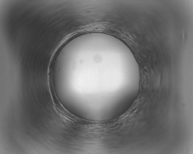 X0000071950100200607071049