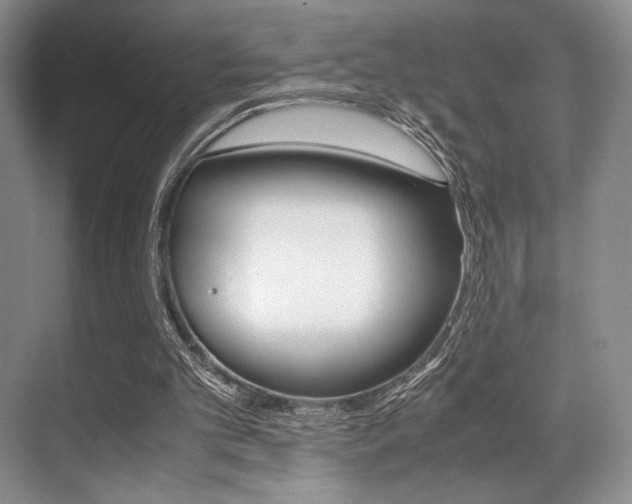 X0000071950101200607071049