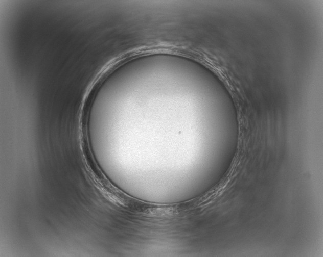 X0000071950102200607071049