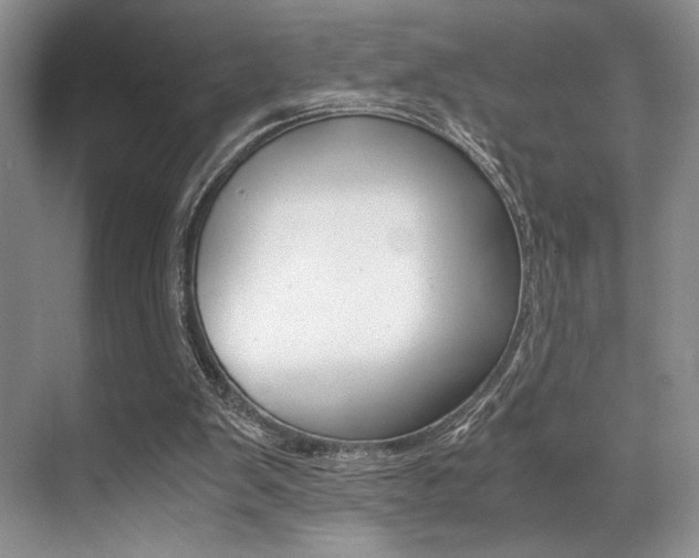 X0000071950103200607071049