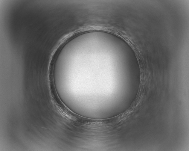 X0000071950104200607071049