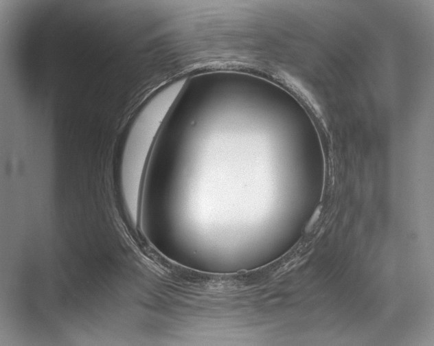 X0000071950105200607071049