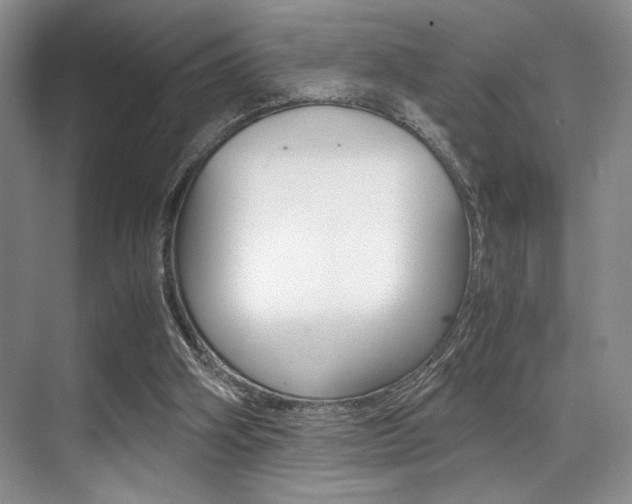 X0000071950106200607071049