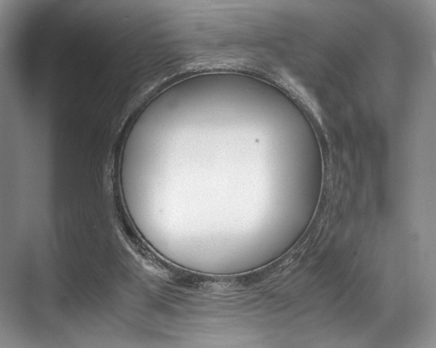 X0000071950107200607071049