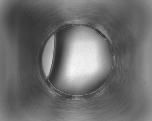 X0000071950109200607071049