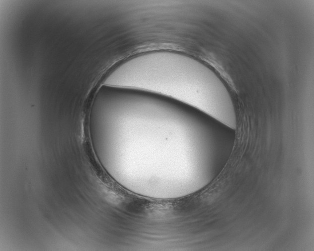 X0000071950110200607071049