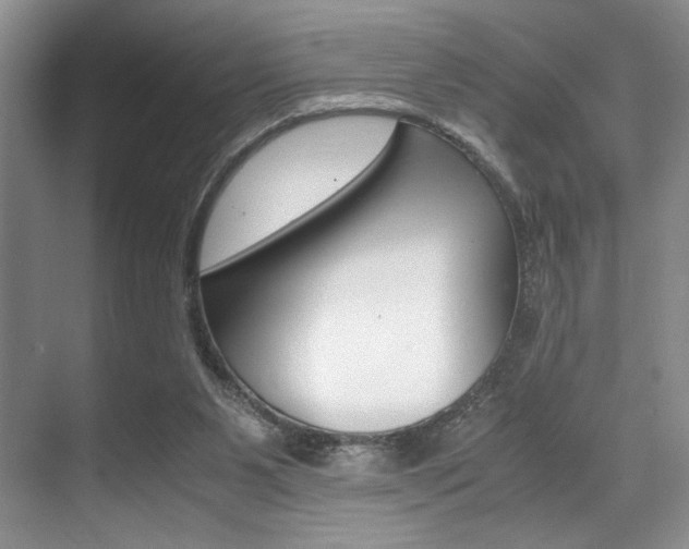 X0000071950111200607071049