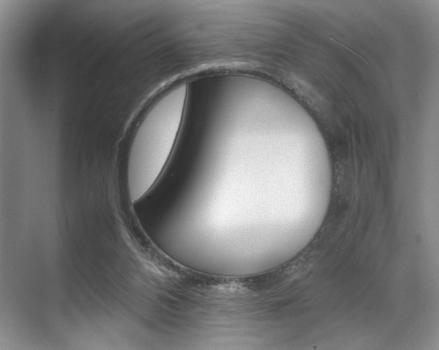 X0000071950112200607071049