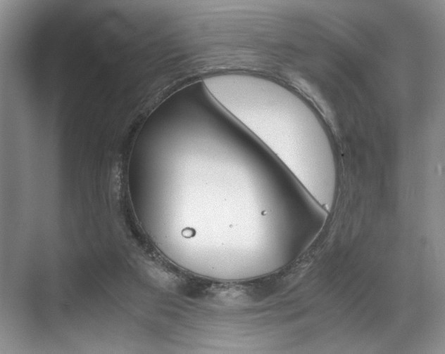 X0000071950113200607071049