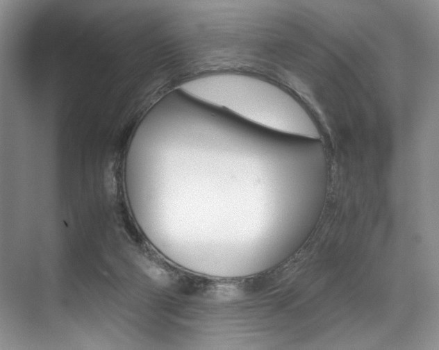 X0000071950114200607071049