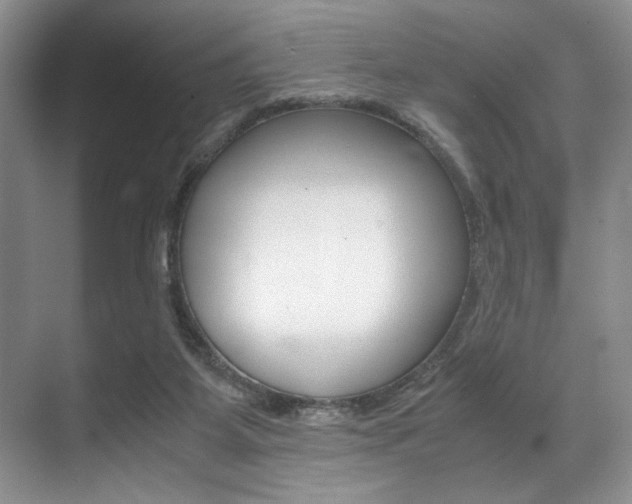 X0000071950115200607071049