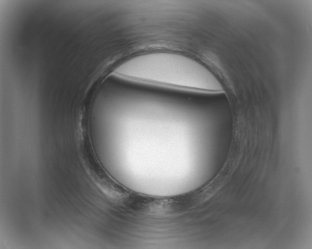 X0000071950116200607071049