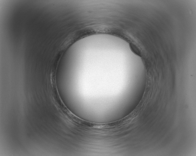 X0000071950117200607071049