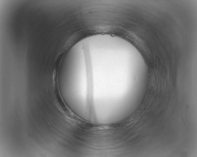 X0000071950118200607071049