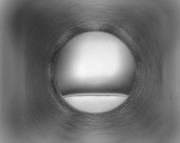 X0000071950119200607071049