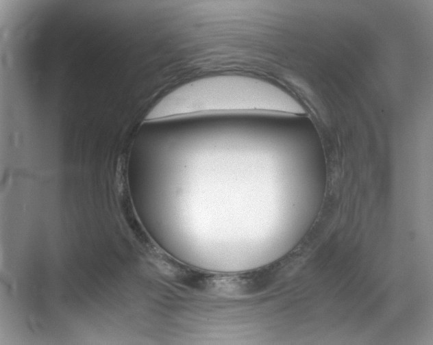 X0000071950121200607071049