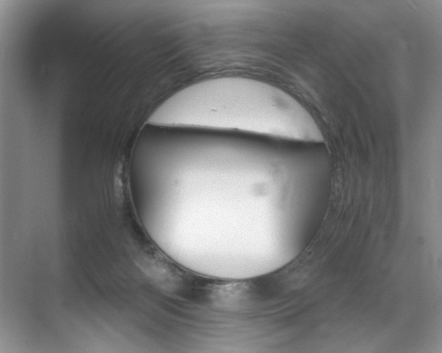 X0000071950122200607071049