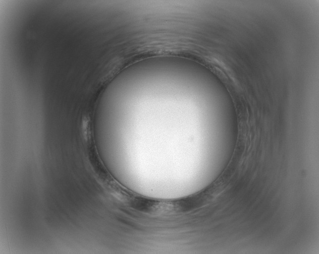 X0000071950123200607071049