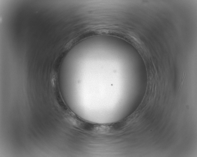 X0000071950125200607071049