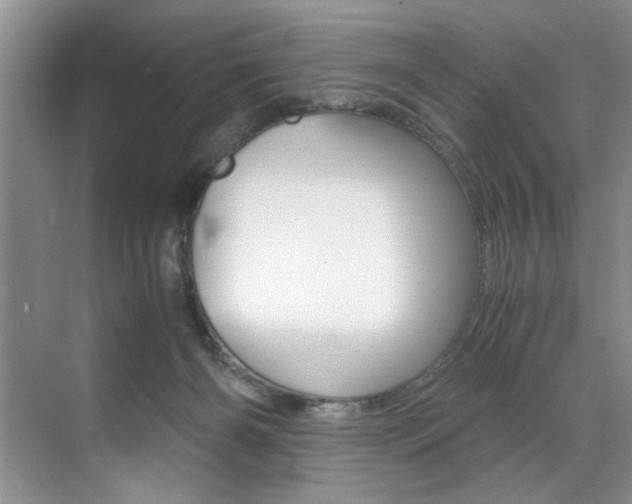 X0000071950126200607071049