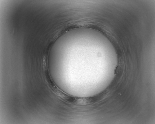 X0000071950127200607071049