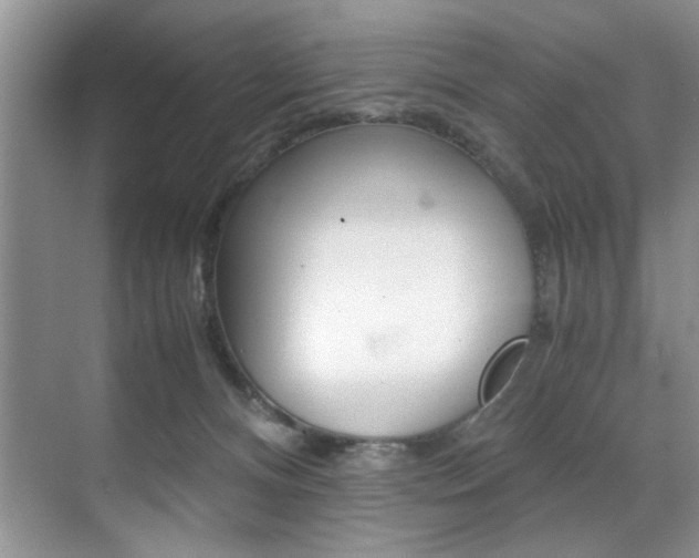 X0000071950128200607071049