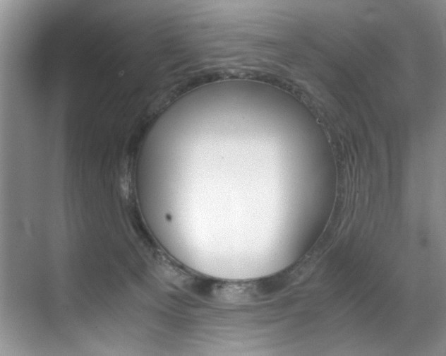 X0000071950129200607071049