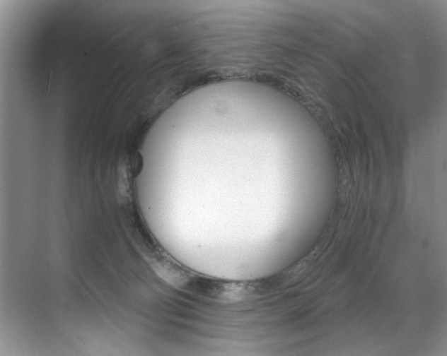 X0000071950130200607071049