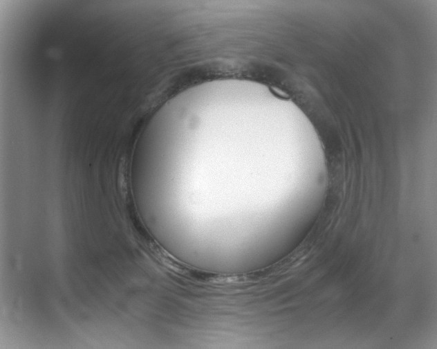 X0000071950131200607071049