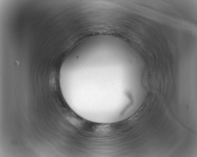 X0000071950132200607071049