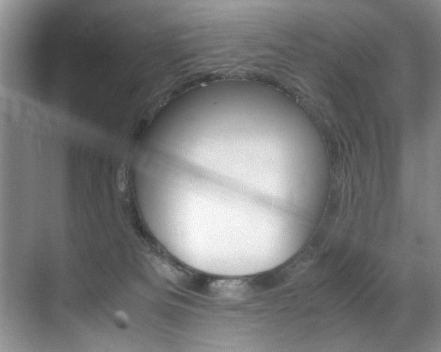 X0000071950133200607071049