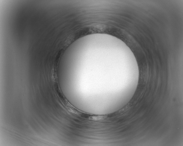 X0000071950134200607071049