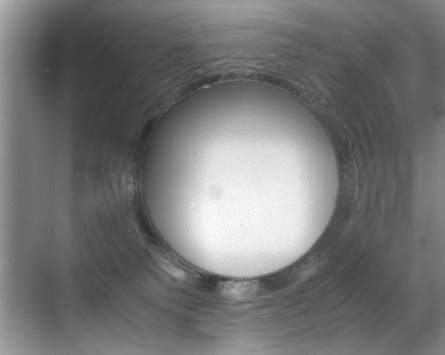 X0000071950135200607071049