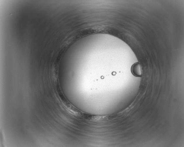 X0000071950136200607071049