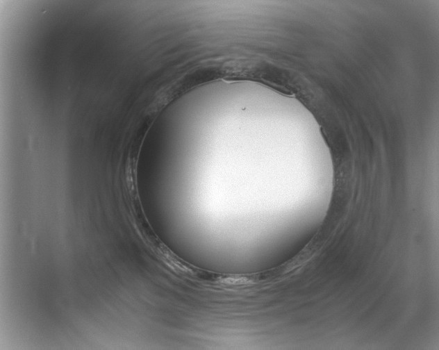 X0000071950137200607071049