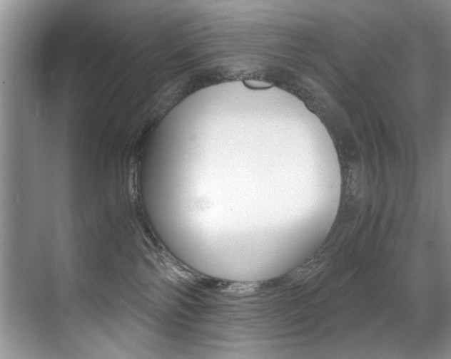 X0000071950138200607071049