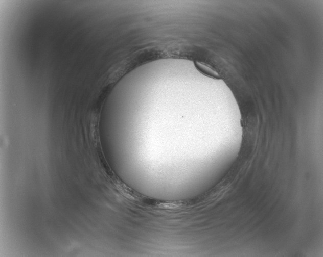 X0000071950139200607071049