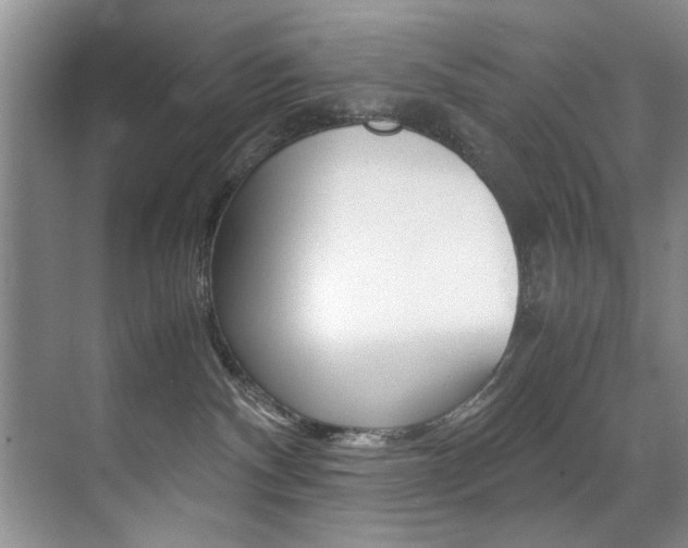 X0000071950140200607071049