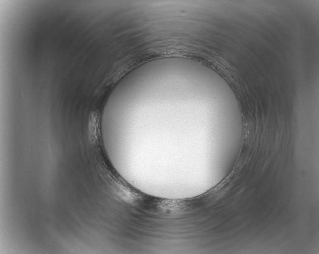 X0000071950142200607071049