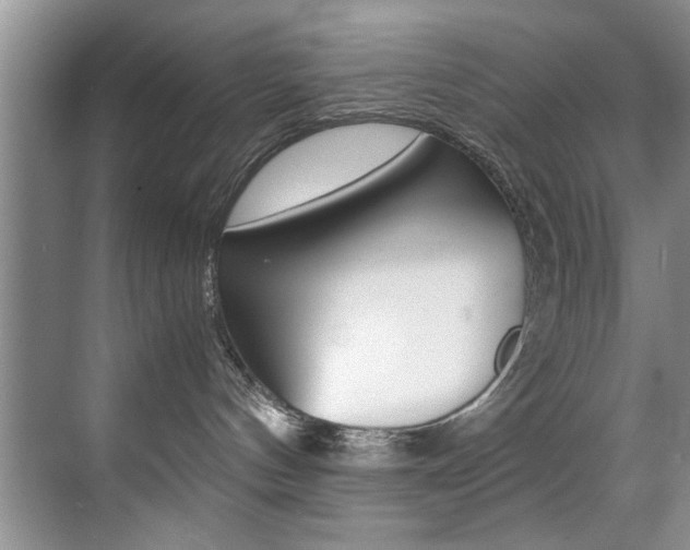 X0000071950144200607071049