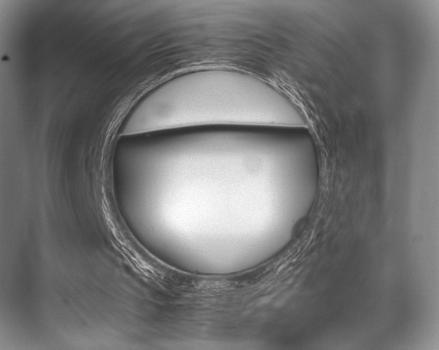 X0000071950145200607071048