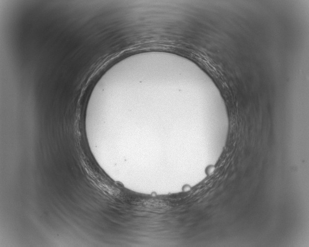 X0000071950146200607071048