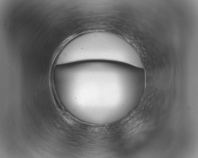 X0000071950147200607071048