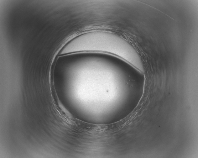 X0000071950148200607071048