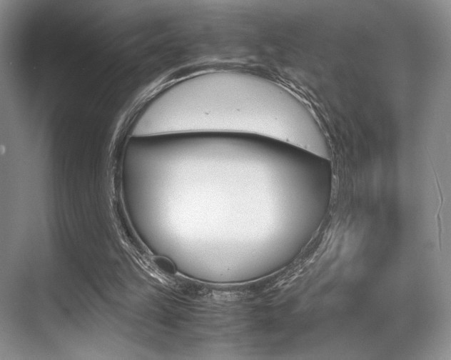 X0000071950149200607071048