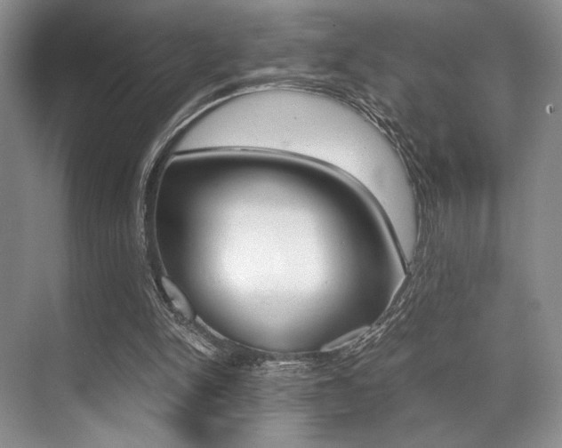 X0000071950150200607071048