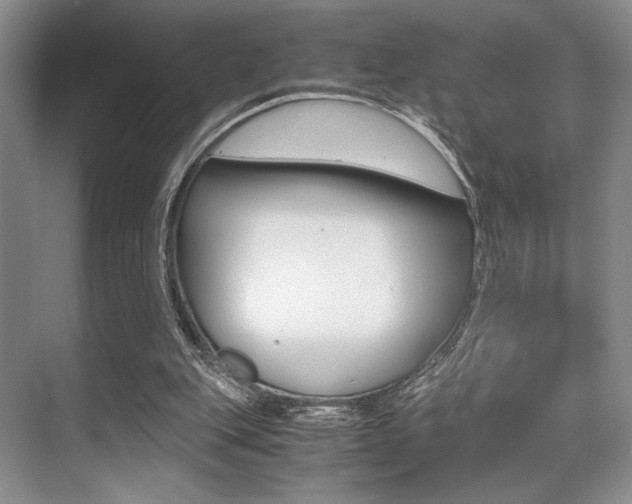 X0000071950151200607071048