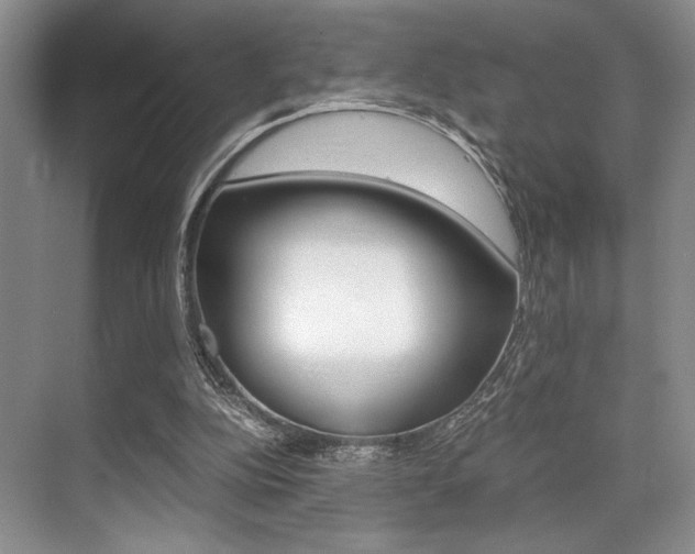 X0000071950152200607071048