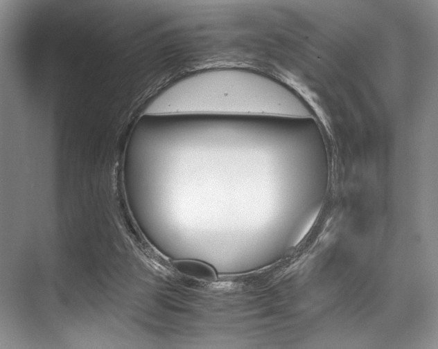 X0000071950153200607071048