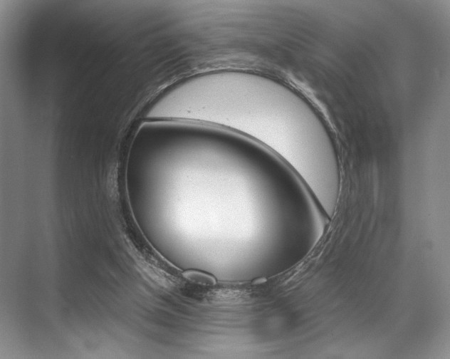 X0000071950154200607071048